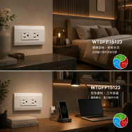 Panasonic 國際牌 星光系列 WTDFP15123 埋入式附接地極雙插座（附蓋板）