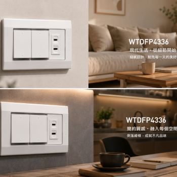 Panasonic 國際牌 星光系列 WTDFP4336 埋入式雙開關＋單插座（附蓋板）