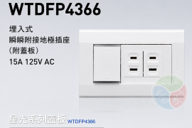 Panasonic 國際牌 星光系列 WTDFP4366 一開兩插埋入式開關插座（附蓋板）