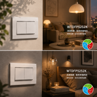 Panasonic 國際牌 星光系列 WTDFP5252K 埋入式雙聯螢光單切開關（附蓋板）