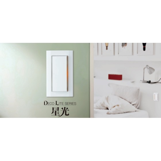 國際牌 星光 雙切開關 插座 組合