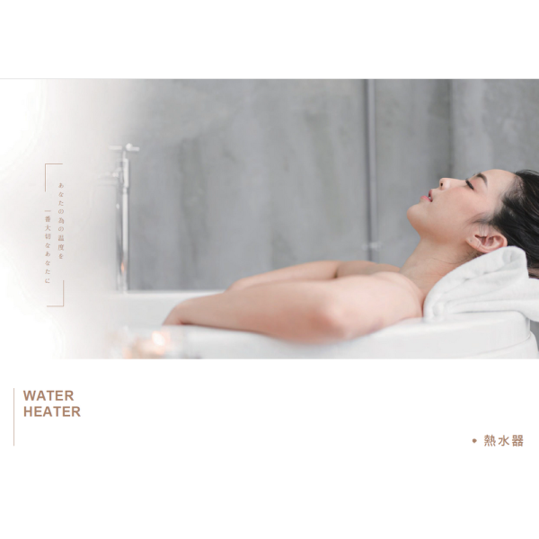 Rinnai 強制排氣熱水器系列